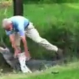 250lb Alligator Attacks a Scientist By a North Carolina Highway And Nearly Rips His Arm Off (Video) Share An off-duty scientist thought he’d lend a helping hand when an alligator was spotted along Highway 70 in North Carolina. But Fred Boyce bit off more than he could...