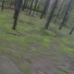 capture-20141201-211502-crop