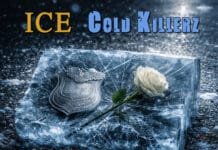 Darrell Kelley Drops New Single “ICE Cold Killerz” on Viral Records Darrell Kelley